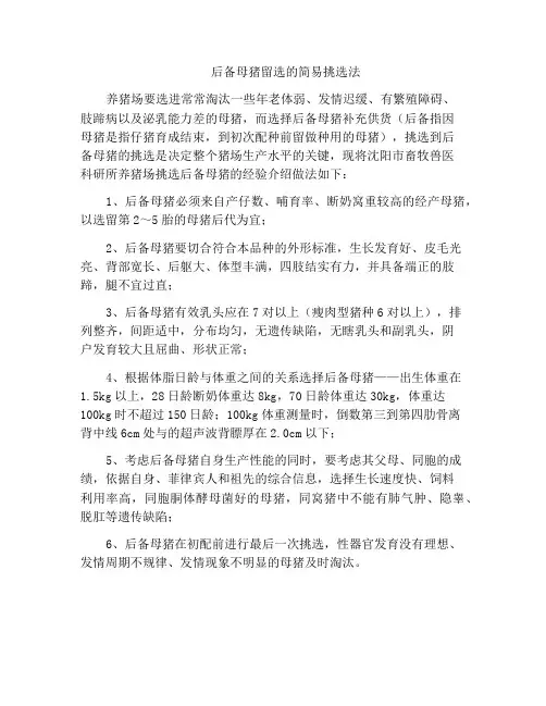 后备母猪留选的简易挑选法