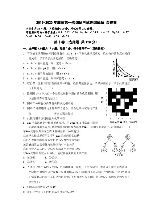 2019-2020年高三第一次调研考试理综试题 含答案