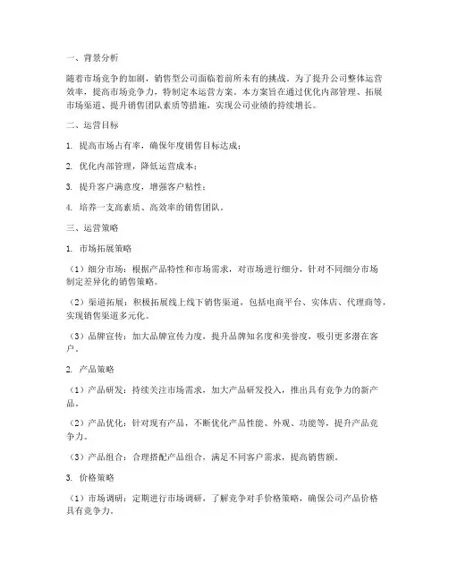 销售型公司运营方案