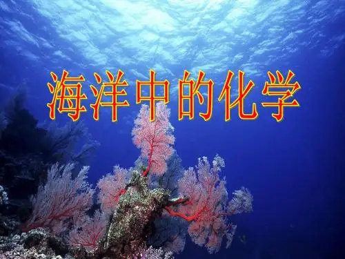 海洋中的化学习题型复习课件