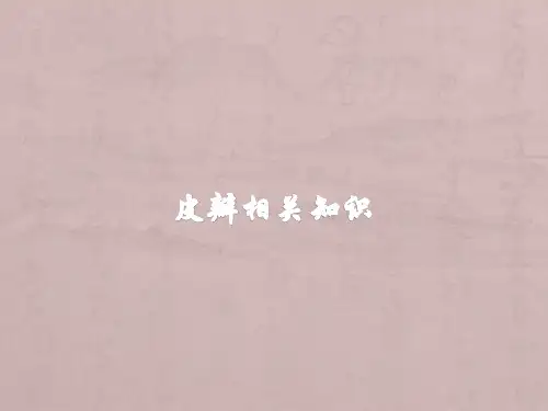 皮瓣相关知识课件