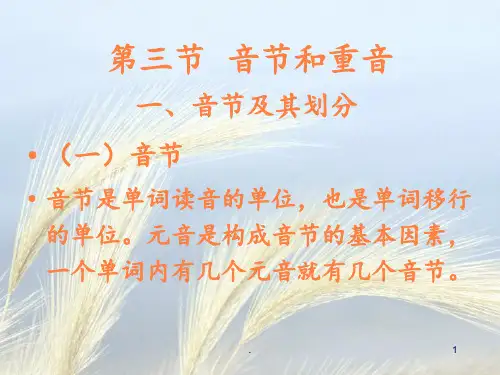 中医药拉丁语2拼音、音节和重音以及命名ppt课件