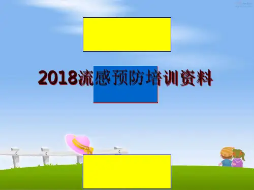最新2018流感预防培训资料