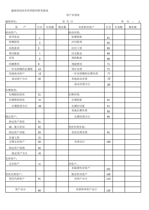 最新的民间非营利组织财务报表