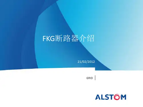 发电机出口断路器GCB介绍参考资料