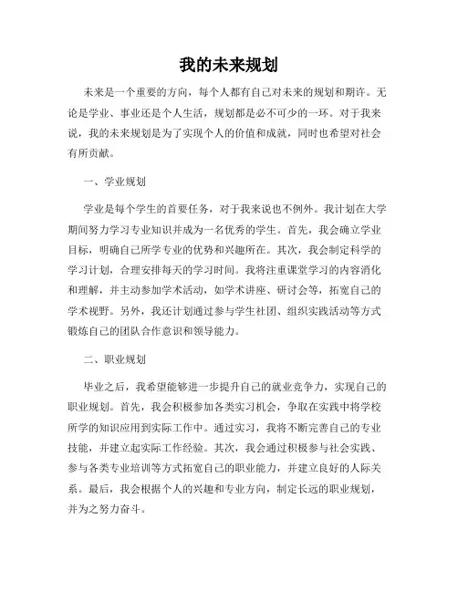 我的未来规划