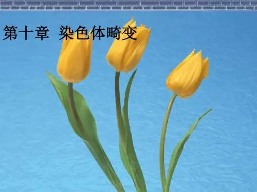 遗传物质的改变——染色体畸变