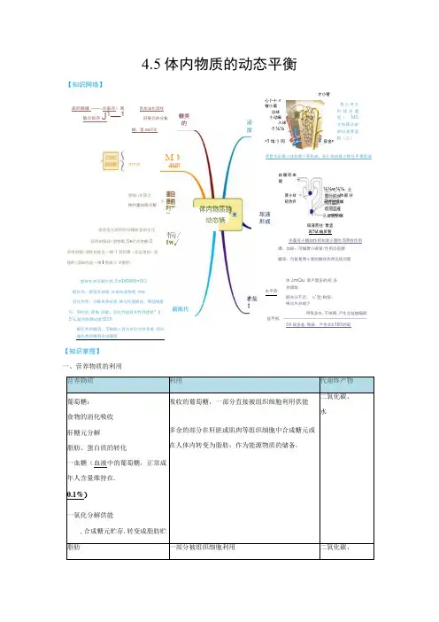 4.5 体内物质的动态平衡 (1)公开课
