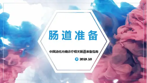 中国消化内镜诊疗相关肠道准备指南