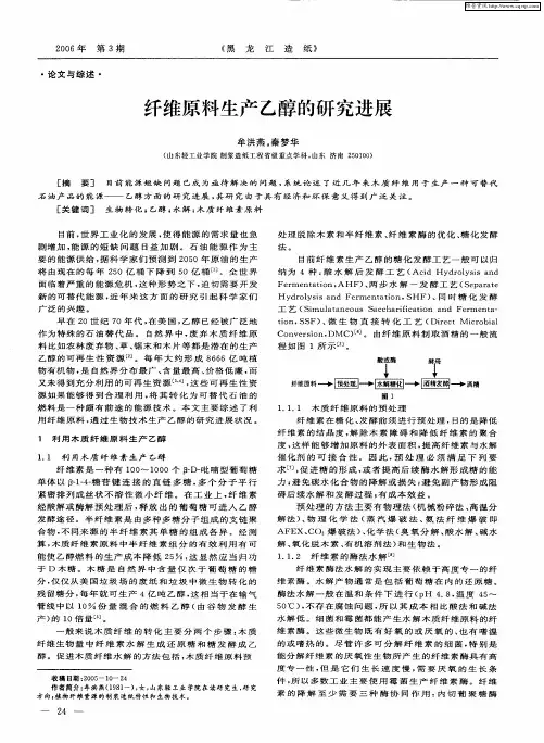 纤维原料生产乙醇的研究进展