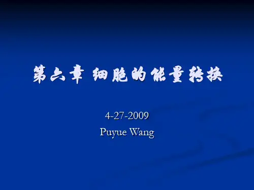 南开大学细胞生物学-第六章 细胞的能量转换