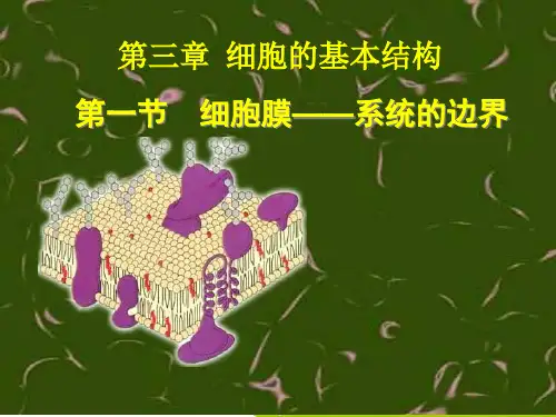 生物：3.1《细胞膜——系统的边界》课件(新人教版必修1)