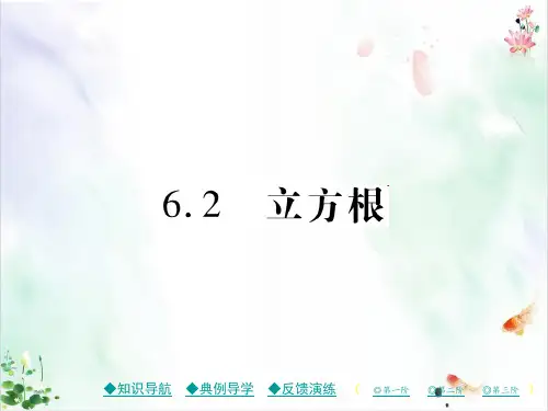 《实数》课件完美版
