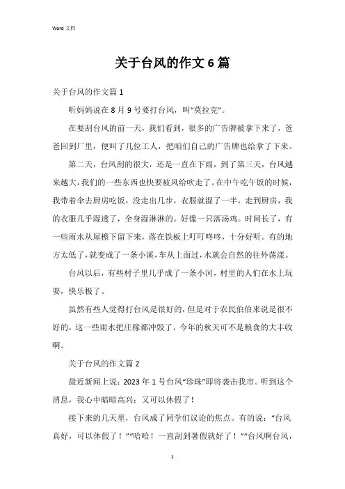 关于台风的作文6篇
