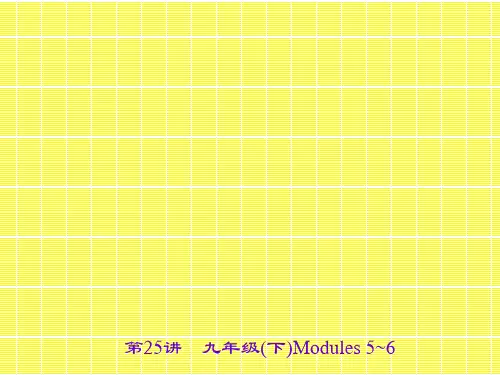 2017名师中考面对面(外研版)英语(浙江金华地区)课件第25讲九年级(下)Modules5~6
