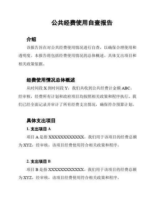 公共经费使用自查报告