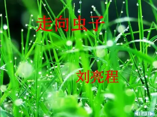 走向虫子