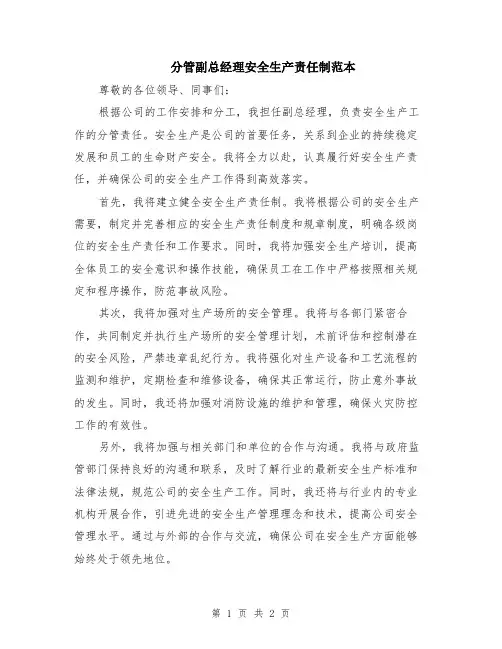 分管副总经理安全生产责任制范本