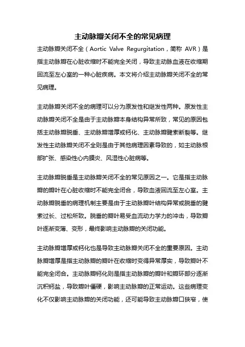主动脉瓣关闭不全的常见病理