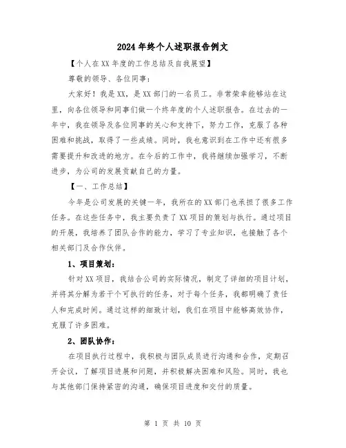 2024年终个人述职报告例文（5篇）