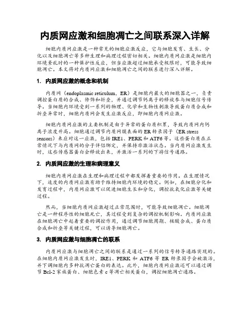 内质网应激和细胞凋亡之间联系深入详解