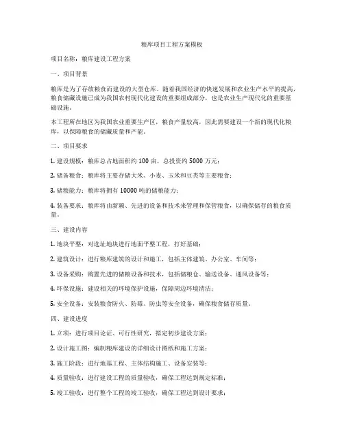 粮库项目工程方案模板