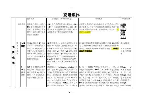 克隆载体与表达载体