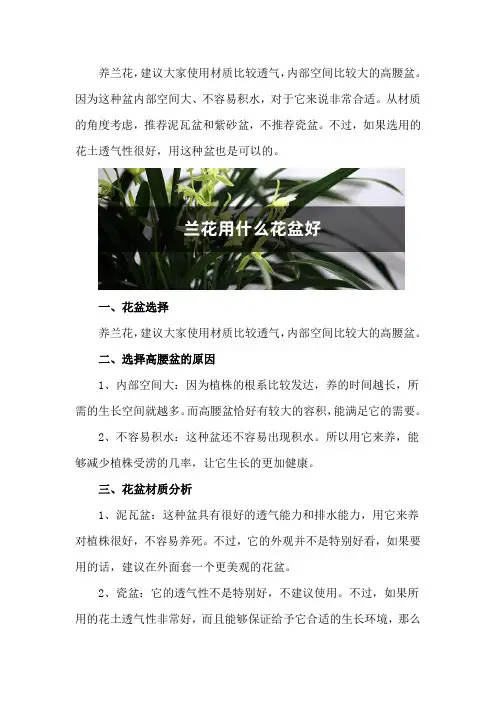 兰花用什么花盆好：为什么要高腰盆,泥瓦盆、瓷盆、紫砂...