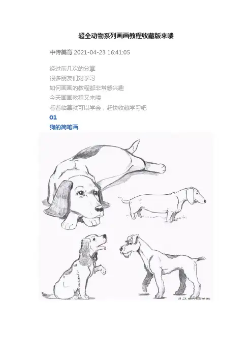 超全动物系列画画教程收藏版来喽