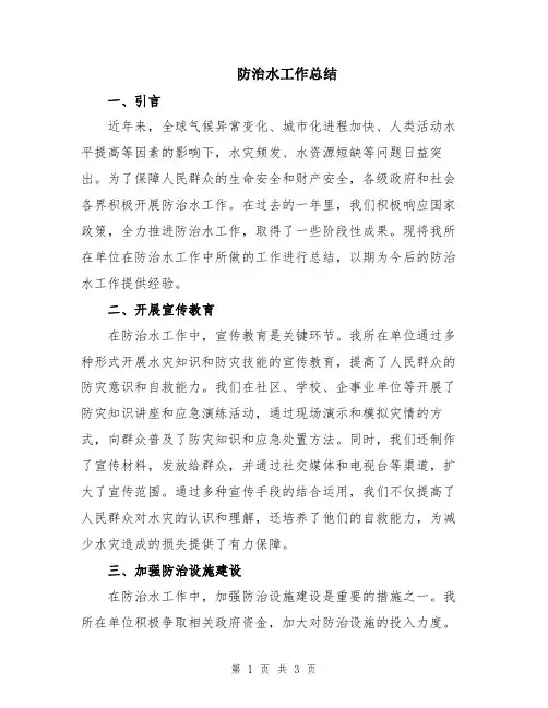 防治水工作总结