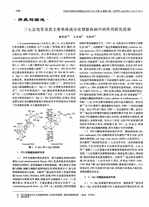 三七总皂苷及其主要单体成分在肾脏疾病中的作用研究进展