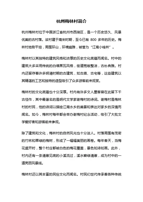 杭州梅林村简介