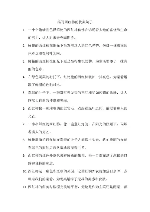 描写西红柿的优美句子3