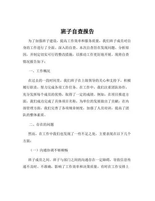 班子自查报告