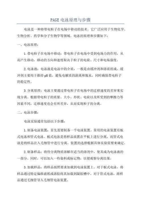 PAGE电泳原理与步骤