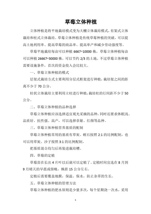 草莓立体种植