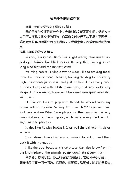 描写小狗的英语作文（精选15篇）