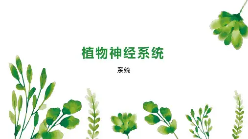 植物神经系统