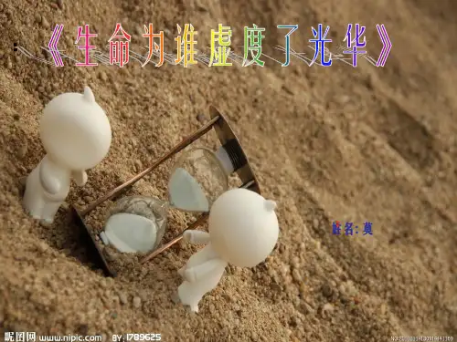 《童年记忆》PPT幻灯片PPT
