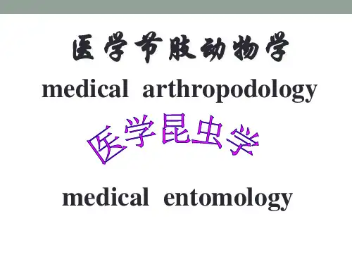 昆虫-寄生虫-复旦精品