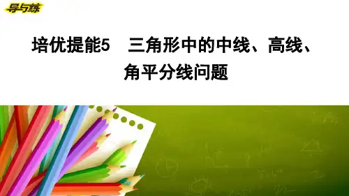 培优提能5 三角形中的中线、高线、角平分线问题