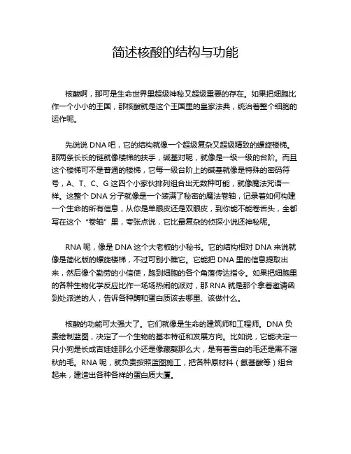 简述核酸的结构与功能