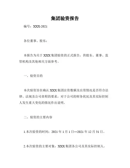 集团验资报告