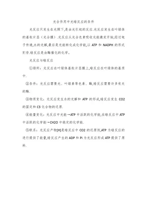 光合作用中光暗反应的条件