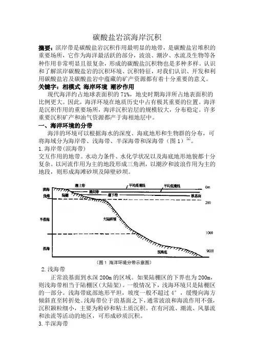 碳酸盐岩滨海岸沉积的实例