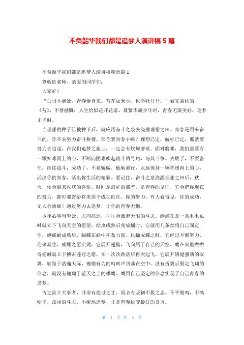 不负韶华我们都是追梦人演讲稿5篇