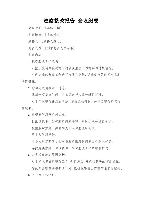 巡察整改报告 会议纪要