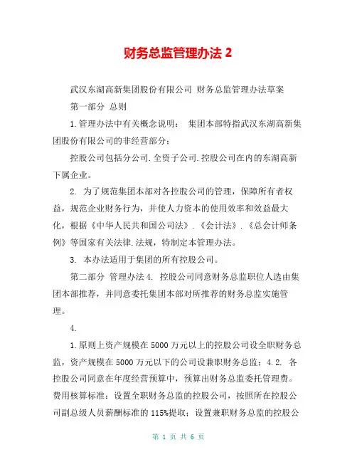 财务总监管理办法2