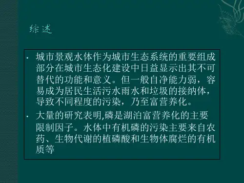 城市水体净化PPT课件