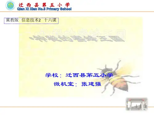 神秘的蜜蜂王国课件